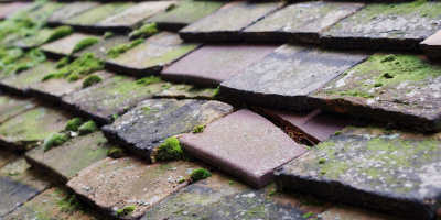 Splott roof repair costs